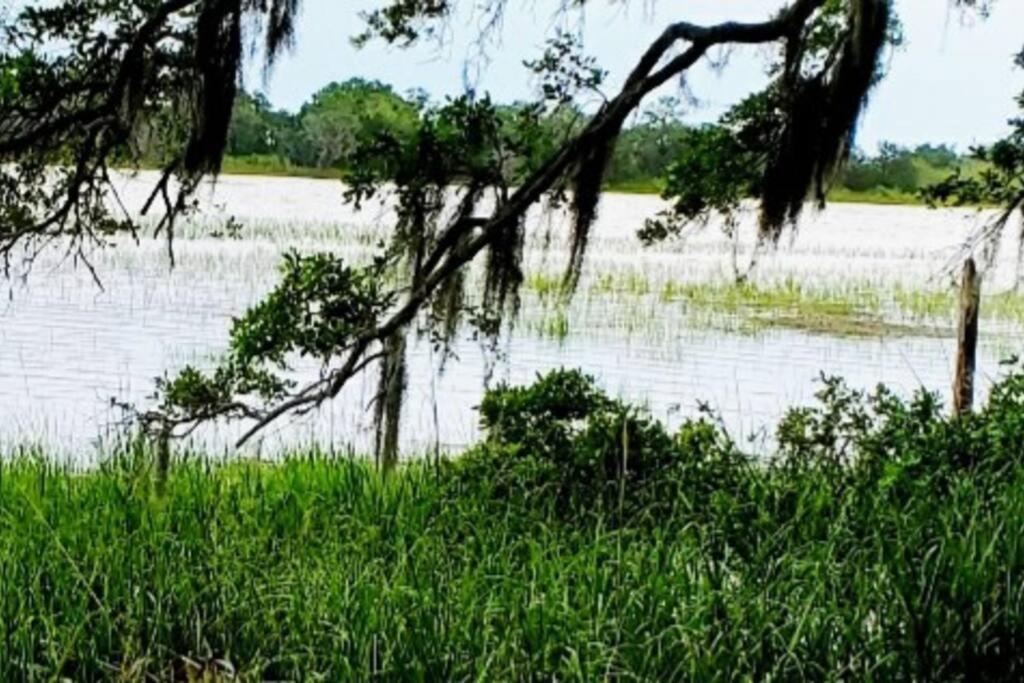 Secluded Tiny House By The Marsh With Hunting Island Beach Pass Frogmore Exterior photo