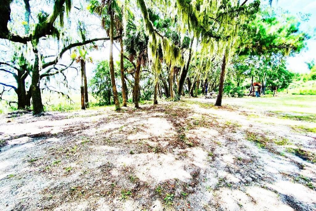 Secluded Tiny House By The Marsh With Hunting Island Beach Pass Frogmore Exterior photo
